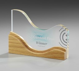 Bild von Wooden Wave Holz Award